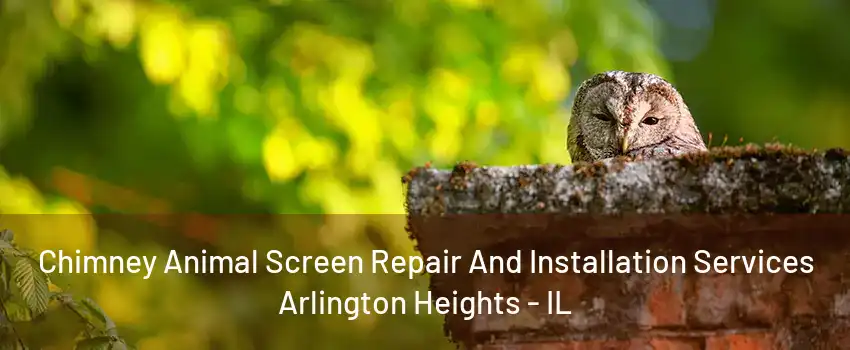 Chimney Animal Screen Repair And Installation Services Arlington Heights - IL