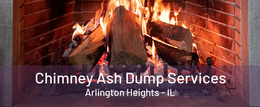 Chimney Ash Dump Services Arlington Heights - IL