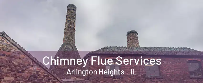 Chimney Flue Services Arlington Heights - IL