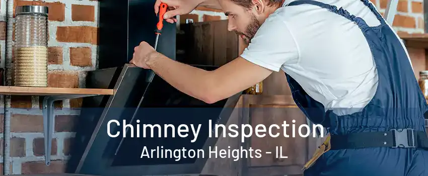 Chimney Inspection Arlington Heights - IL