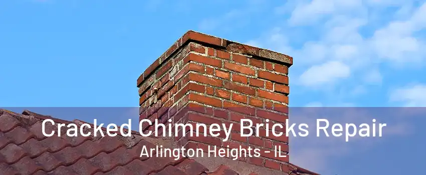 Cracked Chimney Bricks Repair Arlington Heights - IL