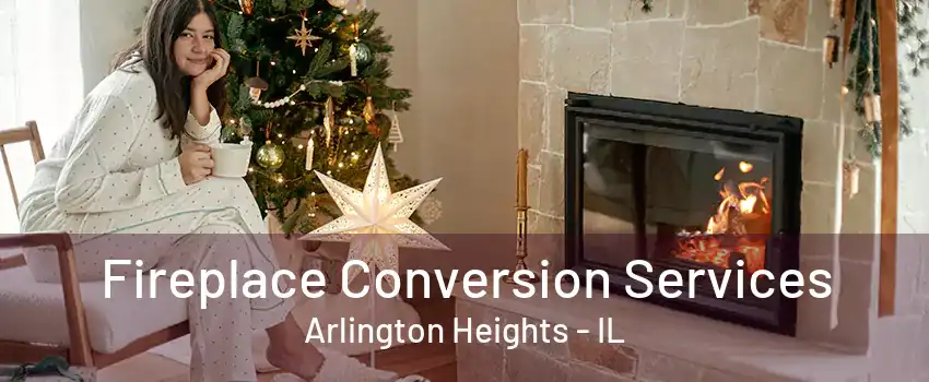 Fireplace Conversion Services Arlington Heights - IL