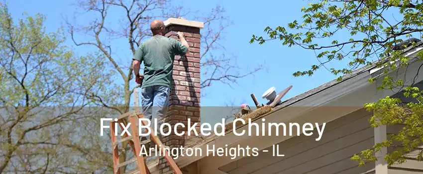 Fix Blocked Chimney Arlington Heights - IL