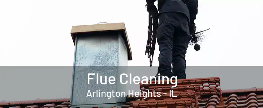 Flue Cleaning Arlington Heights - IL