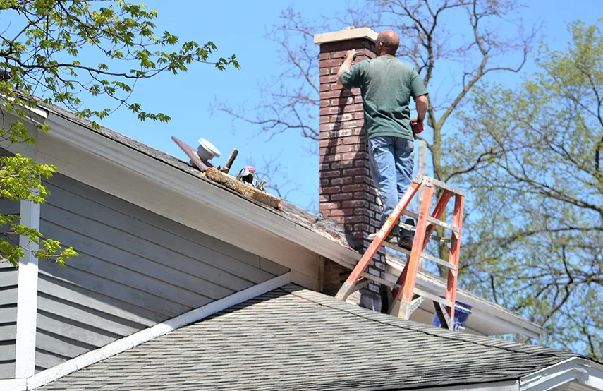 Chimney & Fireplace Inspections Services in Arlington Heights, IL