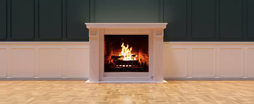 Napoleon Electric Fireplaces Inspection Service in Arlington Heights, Illinois