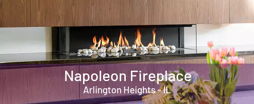 Napoleon Fireplace Arlington Heights - IL