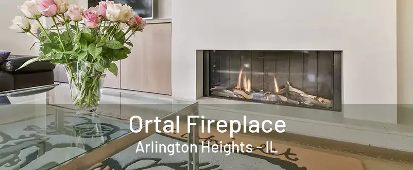 Ortal Fireplace Arlington Heights - IL